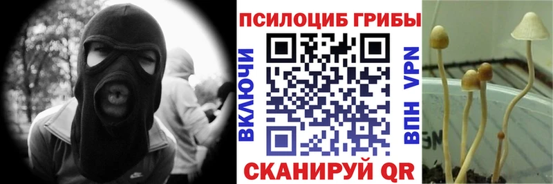 Псилоцибиновые грибы GOLDEN TEACHER  Волгодонск 